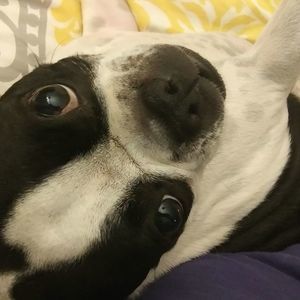 Meet your Posher, Trish